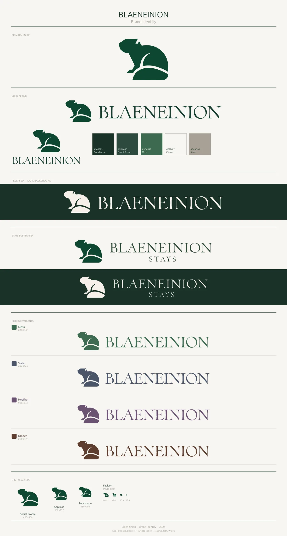 Blaeneinion identity board with its mark, palette, type and lockups