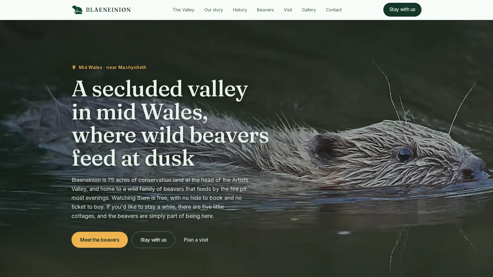 Blaeneinion valley website, with the conservation landscape at the centre of the page
