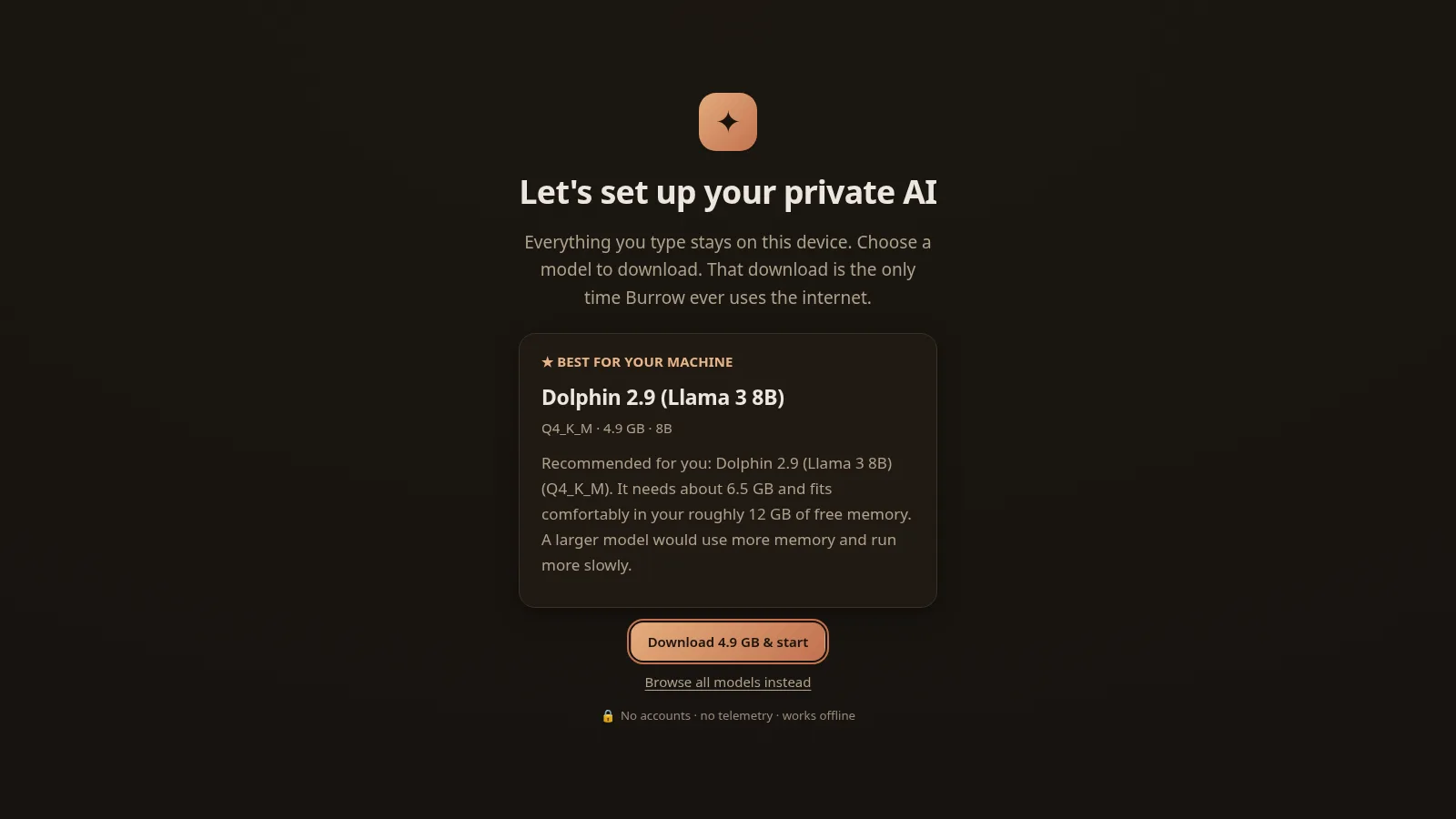 Burrow local AI chat interface